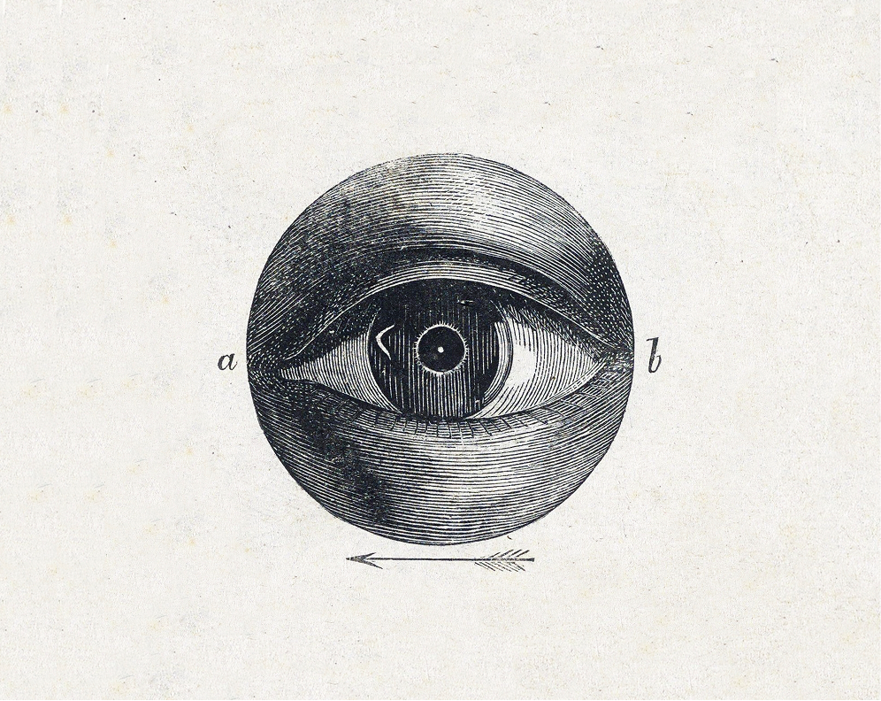 Understanding Awareness as Energy